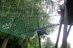 Redes de Proteção em Playgrounds - Redes em Parques - Multredes - Porto Alegre - Brasil